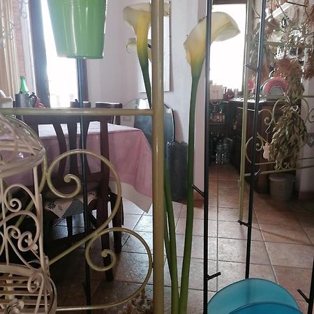 B&B Casacori オロゼーイ エクステリア 写真